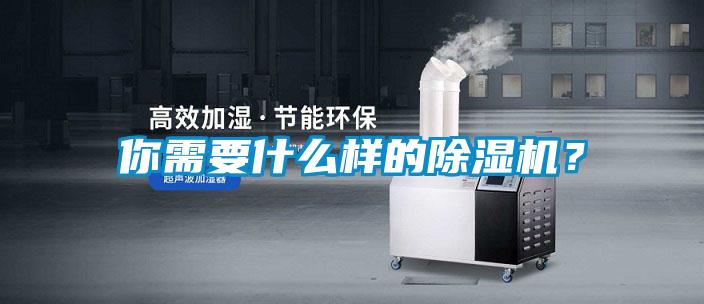 你需要什么樣的除濕機(jī)?