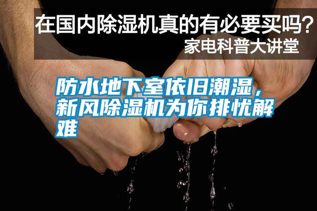 防水地下室依舊潮濕，新風(fēng)除濕機為你排憂解難