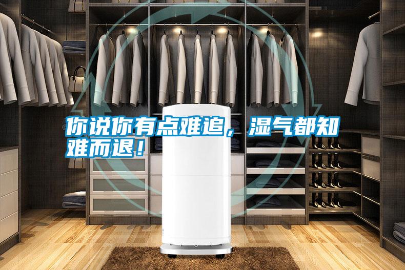 你說(shuō)你有點(diǎn)難追,濕氣都知難而退!