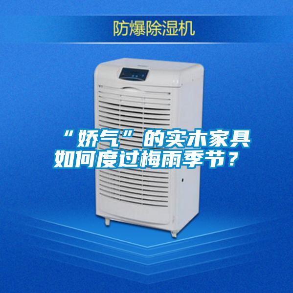 “嬌氣”的實木家具如何度過梅雨季節？