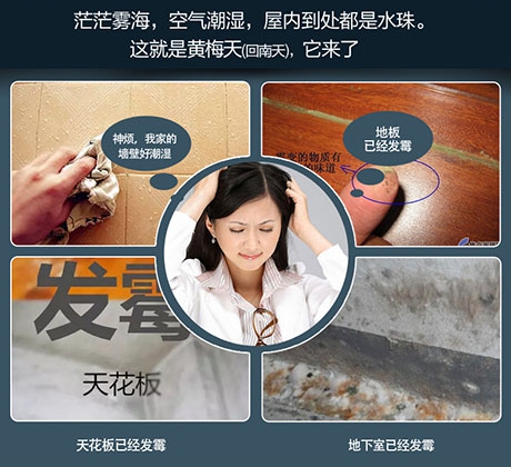 黑科技除濕機,拒絕討厭的濕氣問題