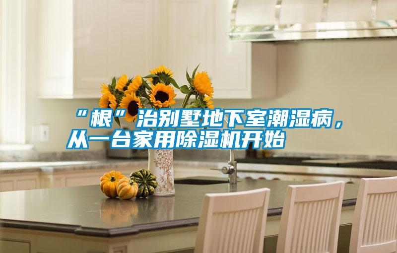 “根”治別墅地下室潮濕病，從一臺家用除濕機開始