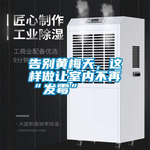 告別黃梅天，這樣做讓室內(nèi)不再“發(fā)霉”