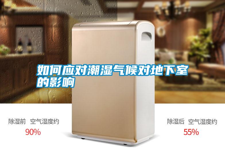 如何應(yīng)對(duì)潮濕氣候?qū)Φ叵率业挠绊?/></p>
						    <p style=