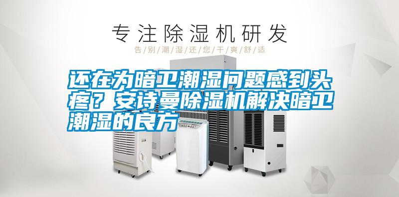 還在為暗衛潮濕問題感到頭疼?安詩曼除濕機解決暗衛潮濕的良方