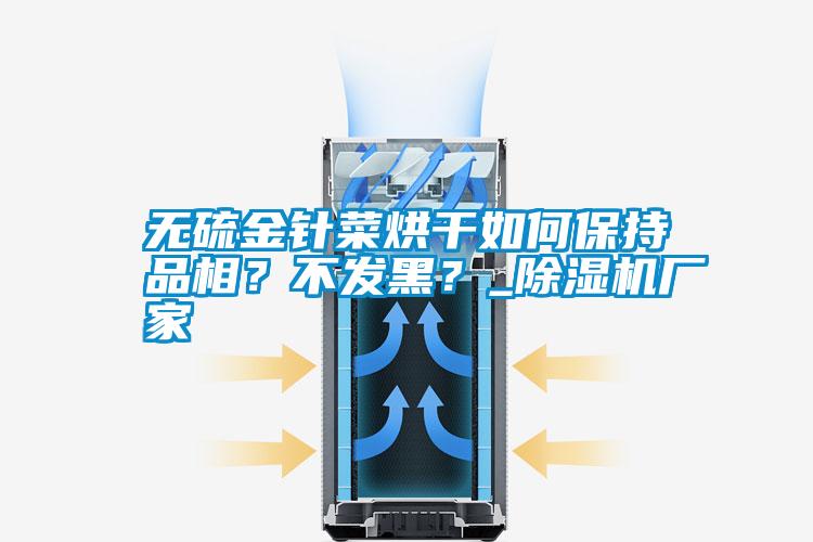 無硫金針菜烘干如何保持品相？不發(fā)黑？_除濕機(jī)廠家