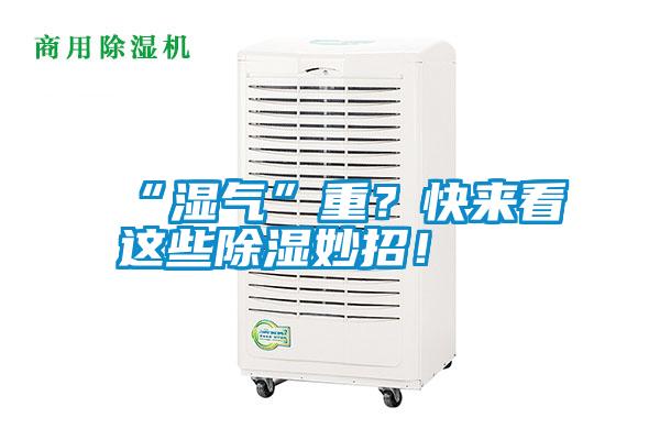 “濕氣”重？快來看這些除濕妙招！