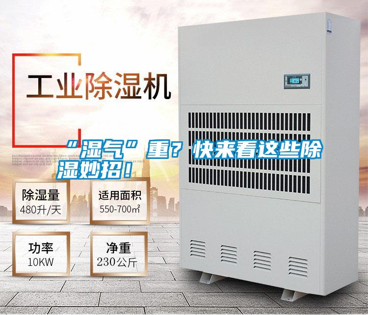 “濕氣”重？快來看這些除濕妙招！