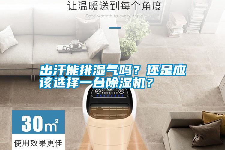 出汗能排濕氣嗎？還是應該選擇一臺除濕機？
