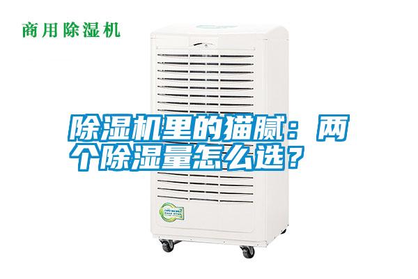 除濕機里的貓膩：兩個除濕量怎么選？
