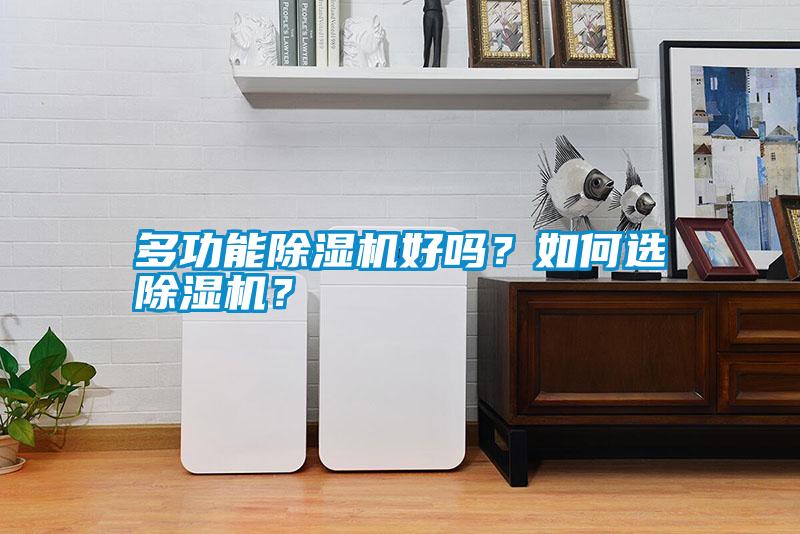 多功能除濕機好嗎？如何選除濕機？