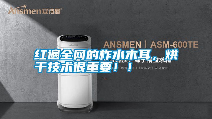 紅遍全網(wǎng)的柞水木耳，烘干技術(shù)很重要?。?/></p>
						    <p style=