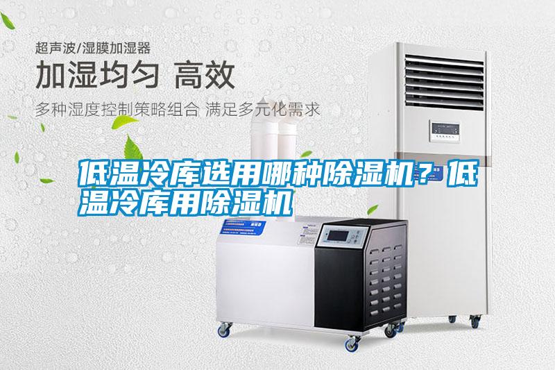 低溫冷庫選用哪種除濕機？低溫冷庫用除濕機