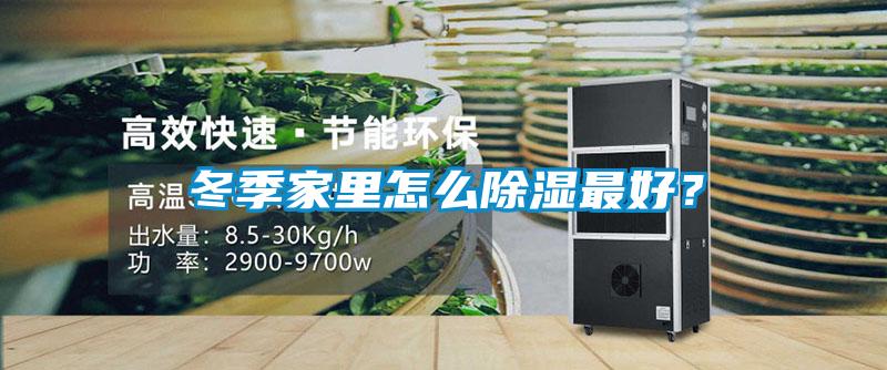 冬季家里怎么除濕最好?