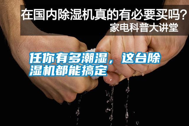 任你有多潮濕，這臺(tái)除濕機(jī)都能搞定