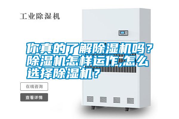 你真的了解除濕機(jī)嗎?除濕機(jī)怎樣運(yùn)作,怎么選擇除濕機(jī)?