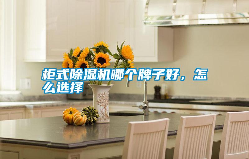 柜式除濕機哪個牌子好，怎么選擇