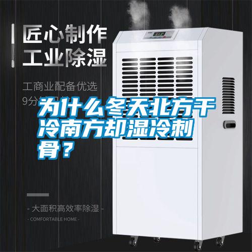 為什么冬天北方干冷南方卻濕冷刺骨？