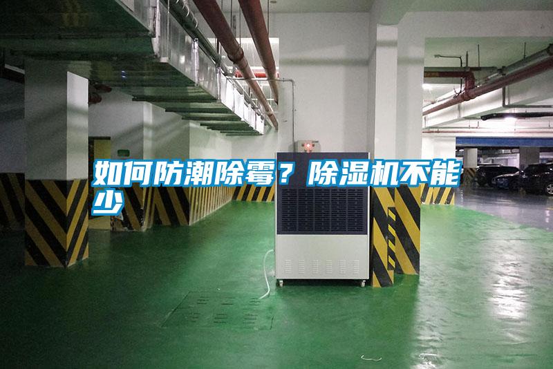 如何防潮除霉？除濕機不能少