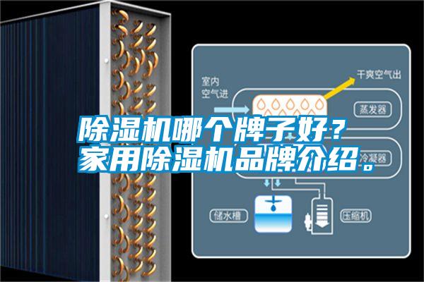 除濕機哪個牌子好？家用除濕機品牌介紹。