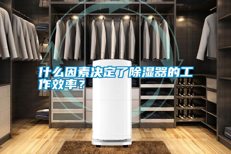 什么因素決定了除濕器的工作效率？