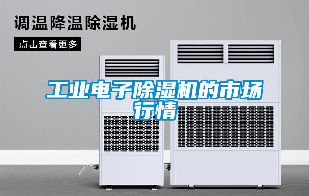 工業電子除濕機的市場行情
