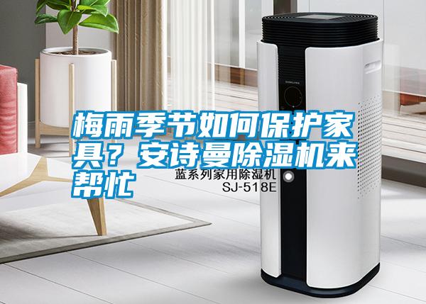 梅雨季節(jié)如何保護家具?安詩曼除濕機來幫忙