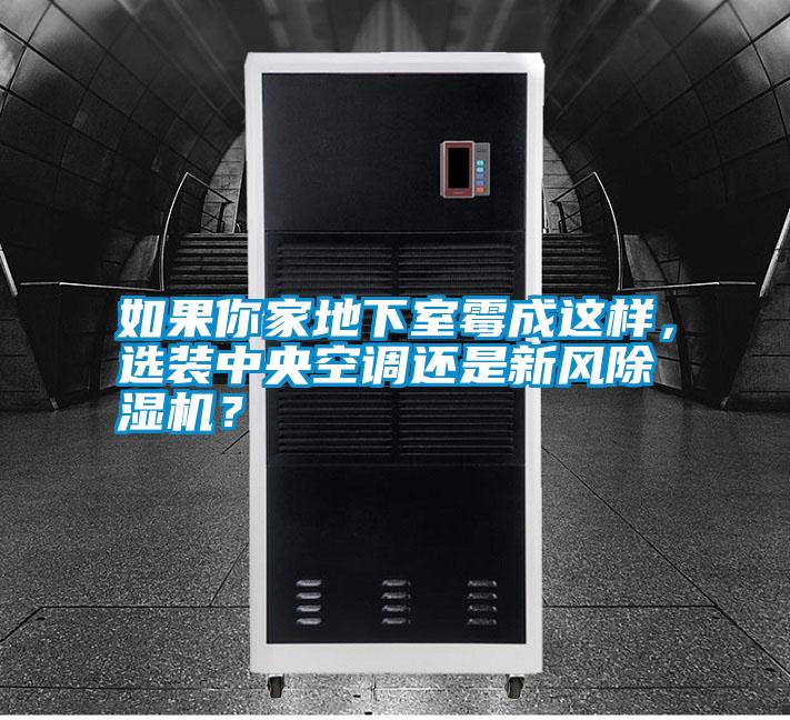 如果你家地下室霉成這樣，選裝中央空調還是新風除濕機？