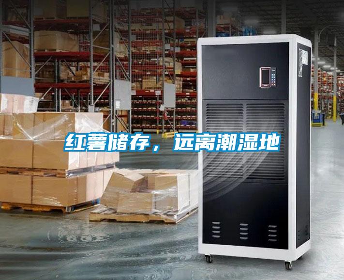 紅薯儲存，遠離潮濕地