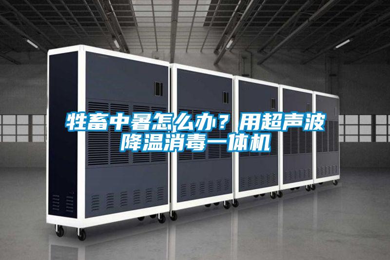 牲畜中暑怎么辦？用超聲波降溫消毒一體機(jī)