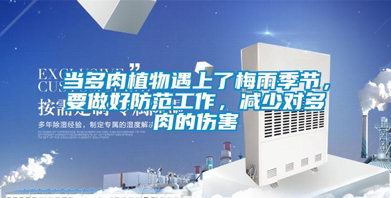 當(dāng)多肉植物遇上了梅雨季節(jié)，要做好防范工作，減少對多肉的傷害