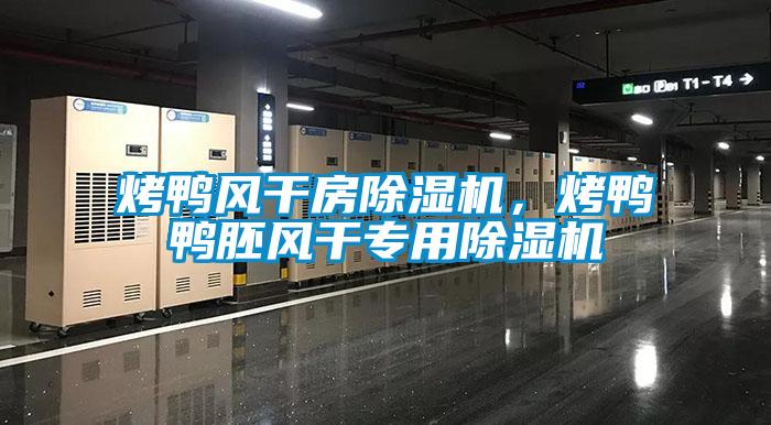烤鴨風干房除濕機，烤鴨鴨胚風干專用除濕機