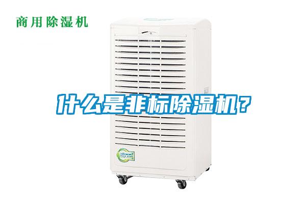 什么是非標除濕機？