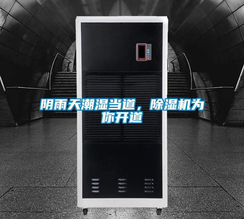 陰雨天潮濕當道，除濕機為你開道