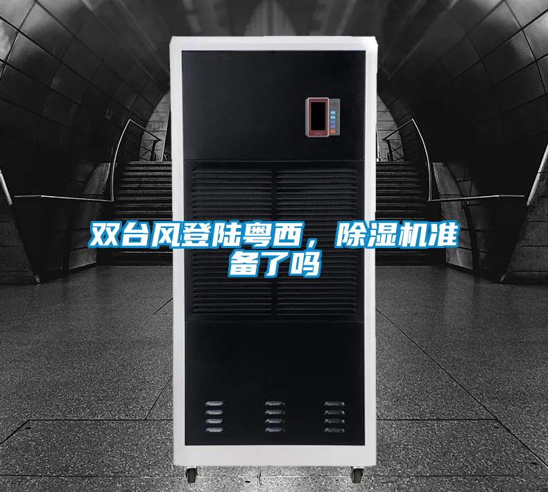 雙臺(tái)風(fēng)登陸粵西，除濕機(jī)準(zhǔn)備了嗎