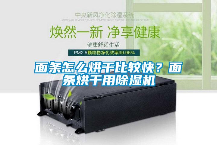 面條怎么烘干比較快？面條烘干用除濕機