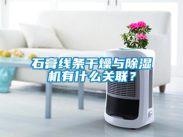 石膏線條干燥與除濕機有什么關聯(lián)？