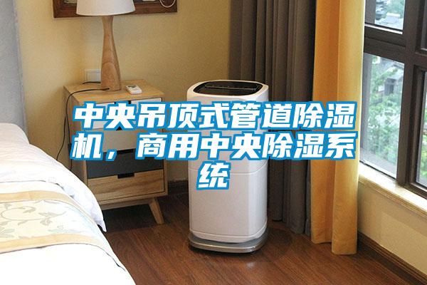 中央吊頂式管道除濕機，商用中央除濕系統