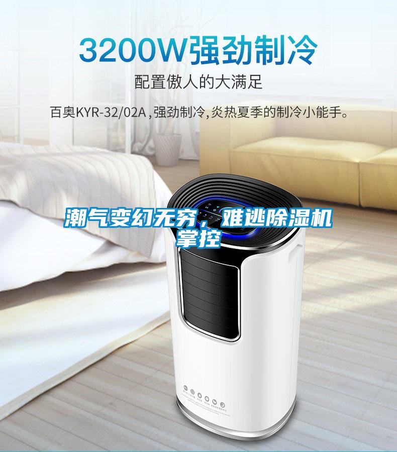 潮氣變幻無窮，難逃除濕機掌控