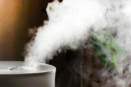 對抗梅雨季節潮濕，家用除濕機為您解決煩惱！