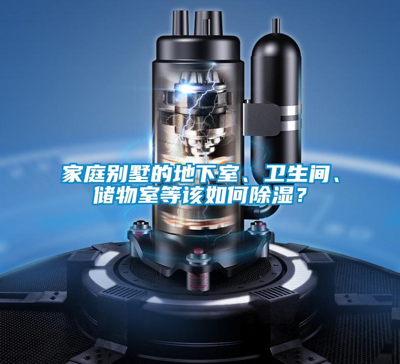 家庭別墅的地下室、衛(wèi)生間、儲物室等該如何除濕？