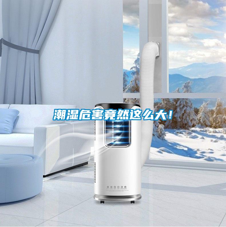 潮濕危害竟然這么大！