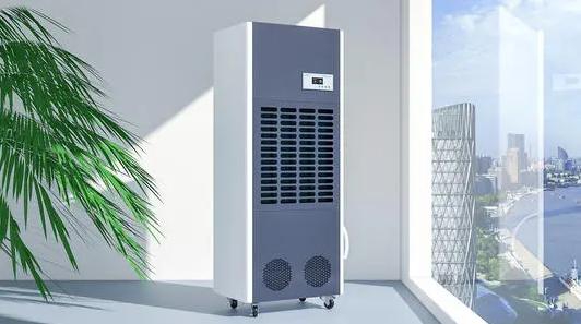 難見太陽，南方潮濕，使用除濕機