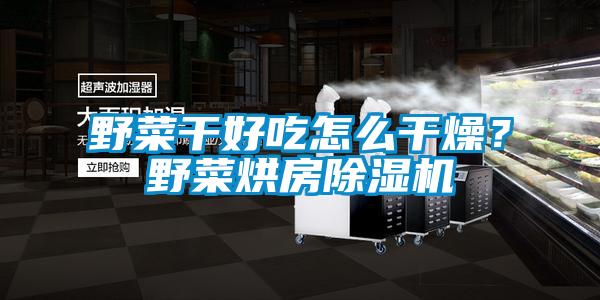 野菜干好吃怎么干燥?野菜烘房除濕機