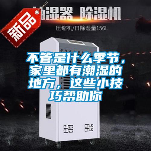 不管是什么季節，家里都有潮濕的地方，這些小技巧幫助你