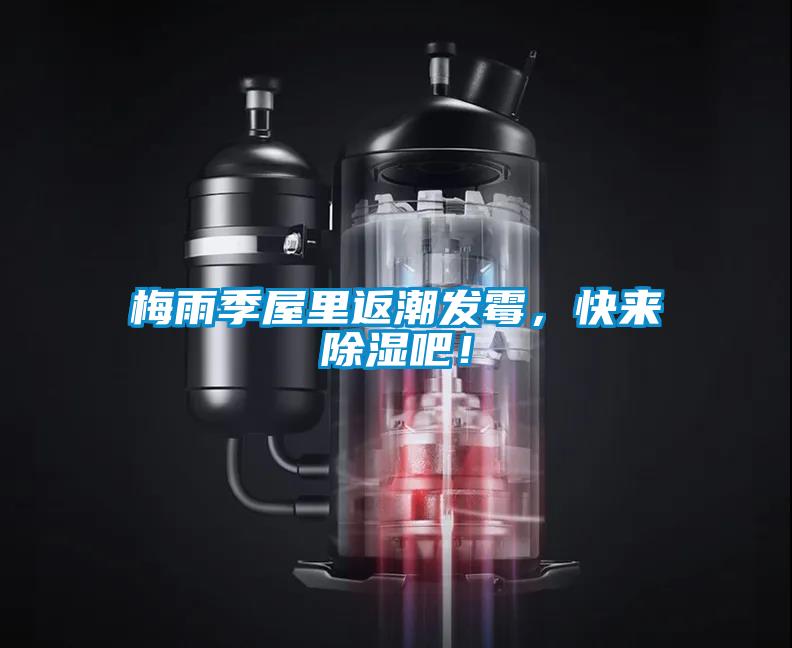 梅雨季屋里返潮發(fā)霉，快來除濕吧！