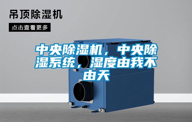 中央除濕機(jī)，中央除濕系統(tǒng)，濕度由我不由天