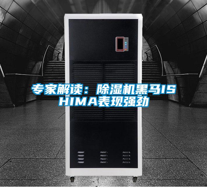 專家解讀:除濕機黑馬ISHIMA表現強勁