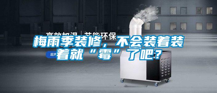 梅雨季裝修，不會裝著裝著就“霉”了吧？