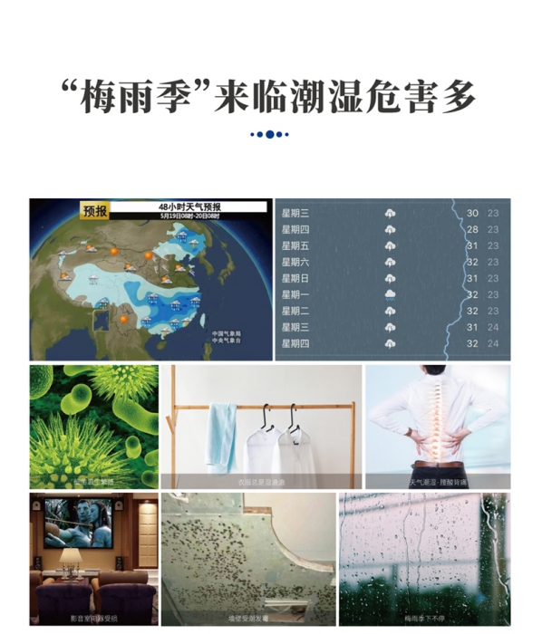 果脯烘干除濕機,果脯蜜餞烘干除濕一體機